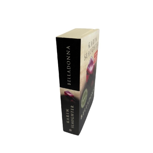Buchcover und Innenansicht für das Buch: Blindsighted