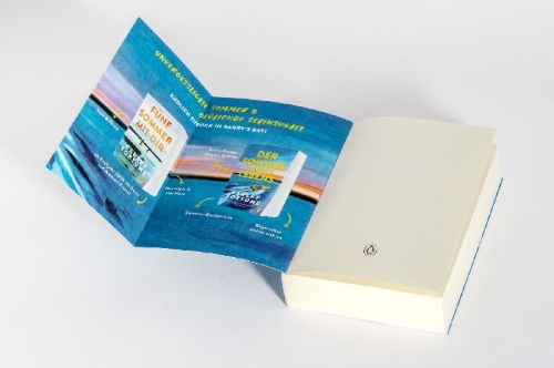Buchcover und Innenansicht für das Buch: ONE GOLDEN SUMMER
