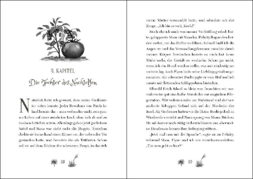 Buchcover und Innenansicht für das Buch: Ruby Fairygale (Band 5) - Der verbotene Zauber