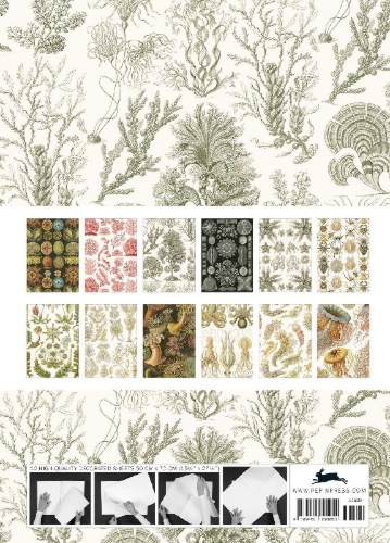Buchcover und Innenansicht für das Buch: Art Forms in Nature