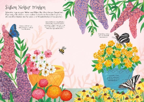 Buchcover und Innenansicht für das Buch: Mein Immer-wieder-Stickerbuch: Schmetterlinge