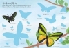 Buchcover und Innenansicht für das Buch: Mein Immer-wieder-Stickerbuch: Schmetterlinge