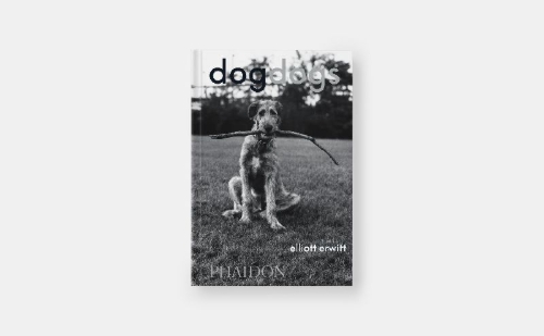 Buchcover und Innenansicht für das Buch: Dogdogs
