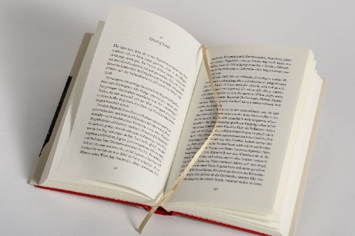Buchcover und Innenansicht für das Buch: Mittagsstunde