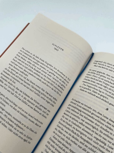 Buchcover und Innenansicht für das Buch: Die Verlorene