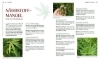 Buchcover und Innenansicht für das Buch: Cannabis-Anbau für Anfänger
