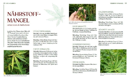 Buchcover und Innenansicht für das Buch: Cannabis-Anbau für Anfänger