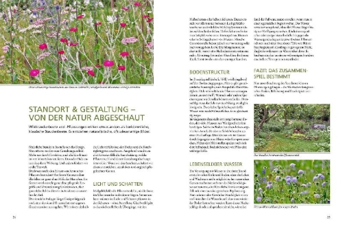 Buchcover und Innenansicht für das Buch: Wild & bunt