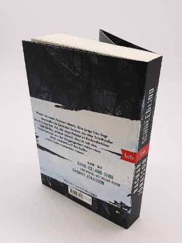 Buchcover und Innenansicht für das Buch: Snjóblinda