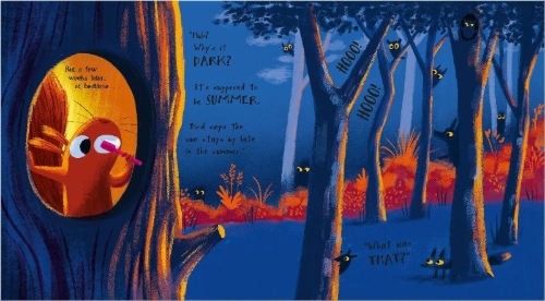 Buchcover und Innenansicht für das Buch: The Sun Thief