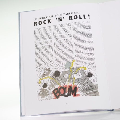 Buchcover und Innenansicht für das Buch: Les archives de la gaffe