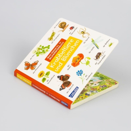 Buchcover und Innenansicht für das Buch: Mein kleines buntes Bildwörterbuch: Krabbeltiere und Blümchen