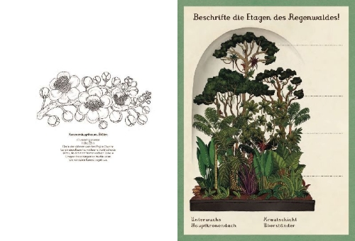 Buchcover und Innenansicht für das Buch: Botanicum Activity Book