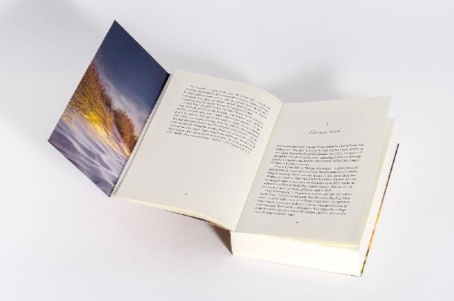 Buchcover und Innenansicht für das Buch: Leuchtturmtänze