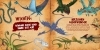 Buchcover und Innenansicht für das Buch: Dragons: Das Buch der Drachen