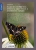 Buchcover und Innenansicht für das Buch: Wer Schmetterlinge liebt, muss Raupen füttern