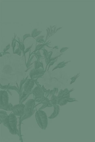 Buchcover und Innenansicht für das Buch: Die Damen mit dem grünen Daumen