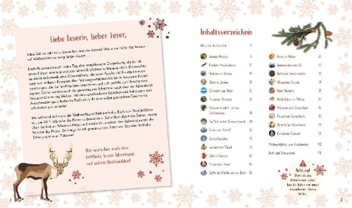 Buchcover und Innenansicht für das Buch: Wundervolle Welt. Adventskalender