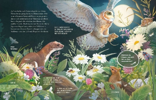 Buchcover und Innenansicht für das Buch: Was schleicht durch die Nacht?