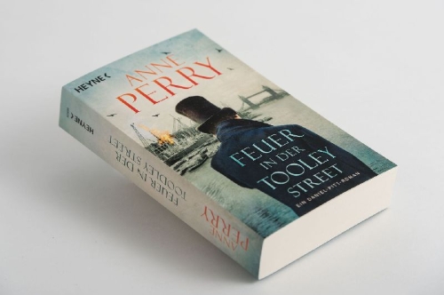 Buchcover und Innenansicht für das Buch: One Fatal Flaw (Daniel Pitt 3)