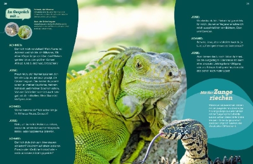 Buchcover und Innenansicht für das Buch: WAS IST WAS Echsen. Kleine Drachen hautnah
