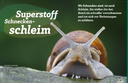 Buchcover und Innenansicht für das Buch: WAS IST WAS Schleim. Eklig? Nein, genial!