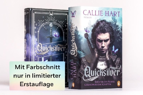 Buchcover und Innenansicht für das Buch: Quick Silver