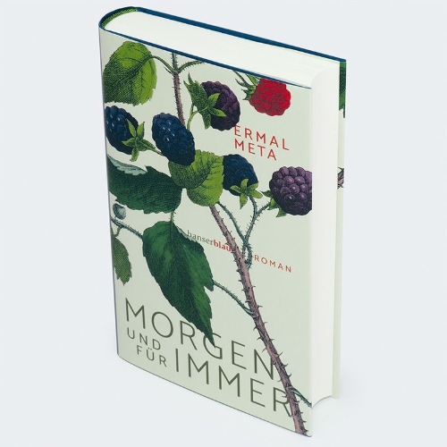 Buchcover und Innenansicht für das Buch: Domani e Per sempre