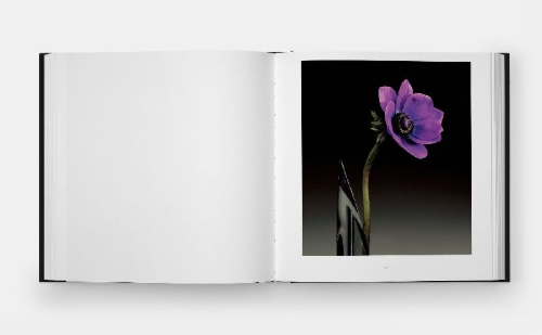 Buchcover und Innenansicht für das Buch: Mapplethorpe Flora