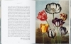 Buchcover und Innenansicht für das Buch: The Plant Hunters Atlas