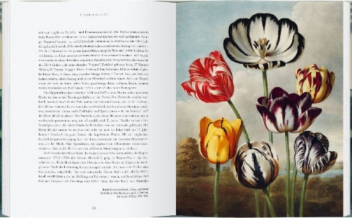Buchcover und Innenansicht für das Buch: The Plant Hunters Atlas