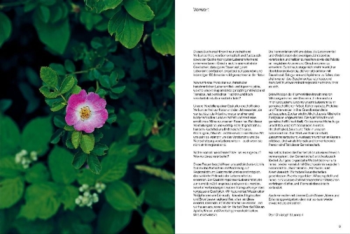 Buchcover und Innenansicht für das Buch: Fermentiert