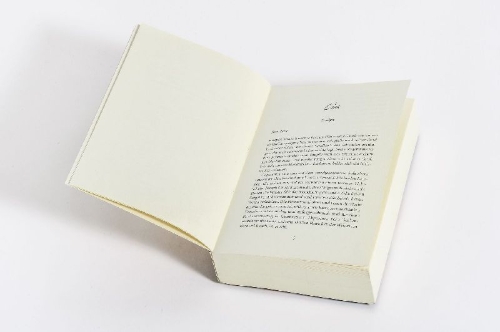 Buchcover und Innenansicht für das Buch: The Days I Loved You Most
