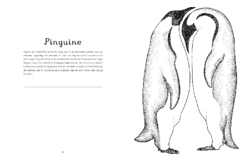 Buchcover und Innenansicht für das Buch: Animalium Coloring Book