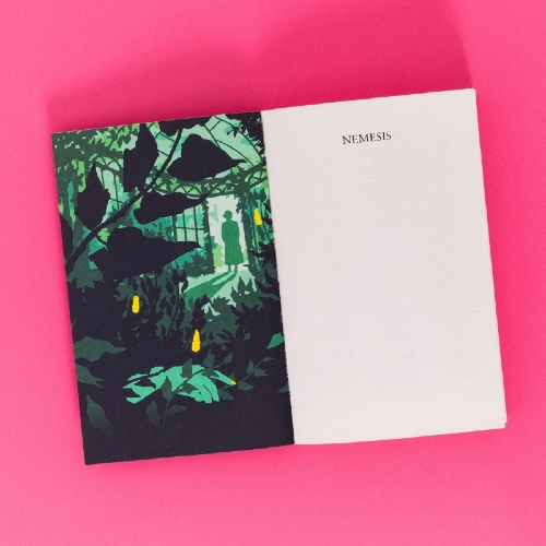 Buchcover und Innenansicht für das Buch: Nemesis