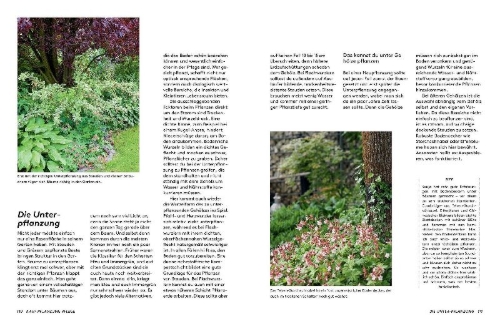 Buchcover und Innenansicht für das Buch: Kleine Bäume für den Garten