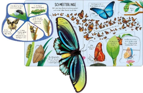 Buchcover und Innenansicht für das Buch: Aufklappen und Entdecken: Das Leben der Krabbeltiere