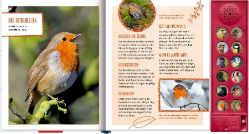 Buchcover und Innenansicht für das Buch: Vögel in unserem Garten