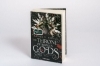 Buchcover und Innenansicht für das Buch: The Throne of Broken Gods (Gods & Monsters 02)