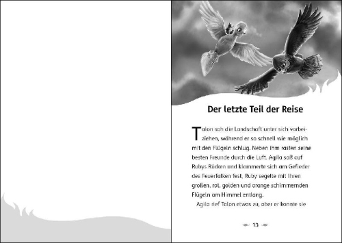 Buchcover und Innenansicht für das Buch: The last Firehawk - The Shadowlands