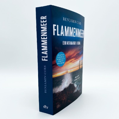 Buchcover und Innenansicht für das Buch: Flammenmeer