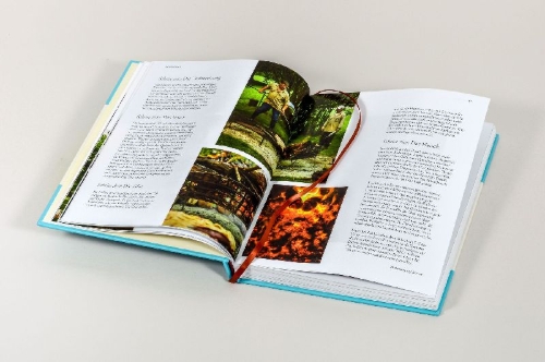 Buchcover und Innenansicht für das Buch: Gaucho - The cookbook. The spirit of Argentina, recipes and stories