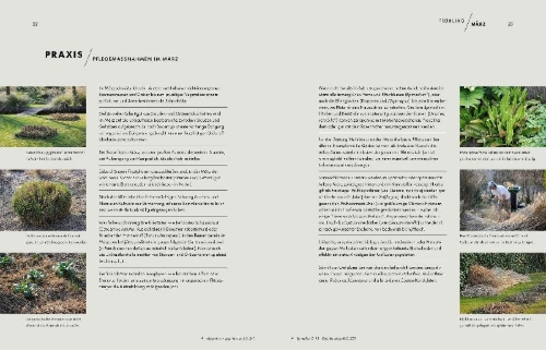 Buchcover und Innenansicht für das Buch: Peter Janke: Mein Garten im Wandel des Zeitgeistes und des Klimas