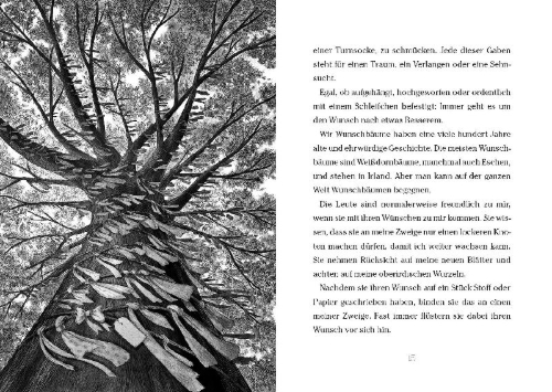 Buchcover und Innenansicht für das Buch: Baum der Wünsche