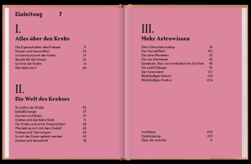 Buchcover und Innenansicht für das Buch: SEEING STARS Cancer