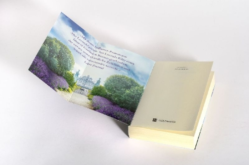 Buchcover und Innenansicht für das Buch: The Light Behind the Window