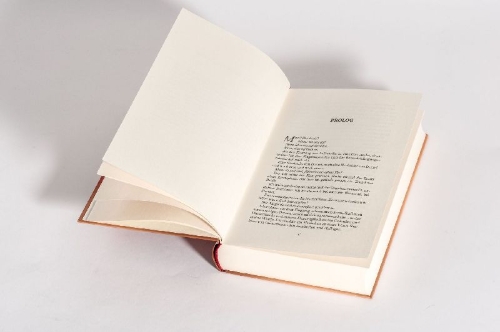 Buchcover und Innenansicht für das Buch: More