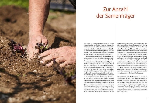 Buchcover und Innenansicht für das Buch: Handbuch Samengärtnerei