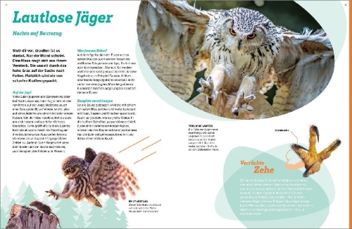 Buchcover und Innenansicht für das Buch: WAS IST WAS Eulen. Jäger mit Supersinnen