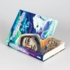 Buchcover und Innenansicht für das Buch: Whisperworld 6: Jagd durchs Eis